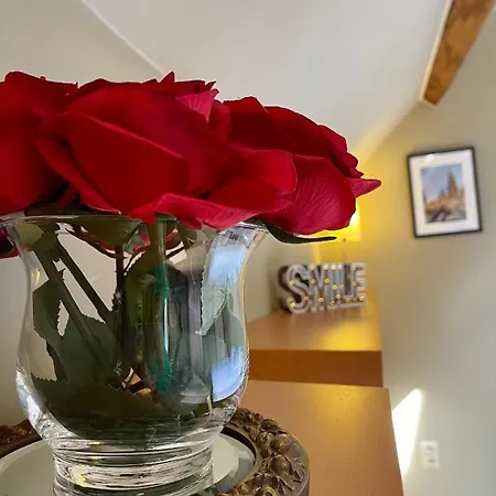 Apartamento Cosy Penthouse In The Heart Of Bruges *