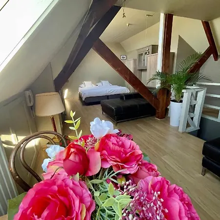Cosy Penthouse In The Heart Of Bruges Apartamento *