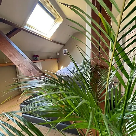Cosy Penthouse In The Heart Of Bruges Apartamento